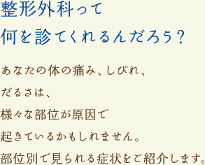 整形外科って何を診てくれるんだろう？