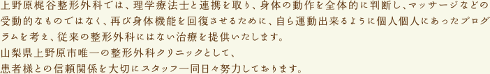 上野原梶谷整形外科では、理学療法士と連携を取り、身体の動作を全体的に判断し、マッサージなどの受動的なものではなく、再び身体機能を回復させるために、自ら運動出来るように個人個人にあったプログラムを考え、従来の整形外科にはない治療を提供いたします。山梨県上野原市唯一の整形外科クリニックとして、患者様との信頼関係を大切にスタッフ一同日々努力しております。